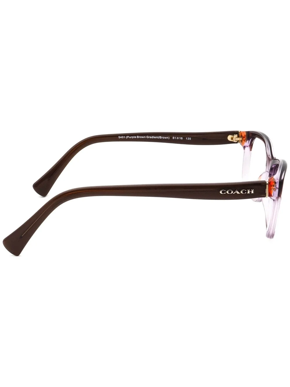 Coach HC 6089 5401 Eyewear